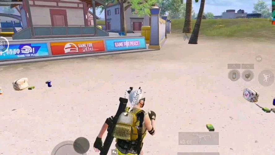 和平精英《太极》辅助